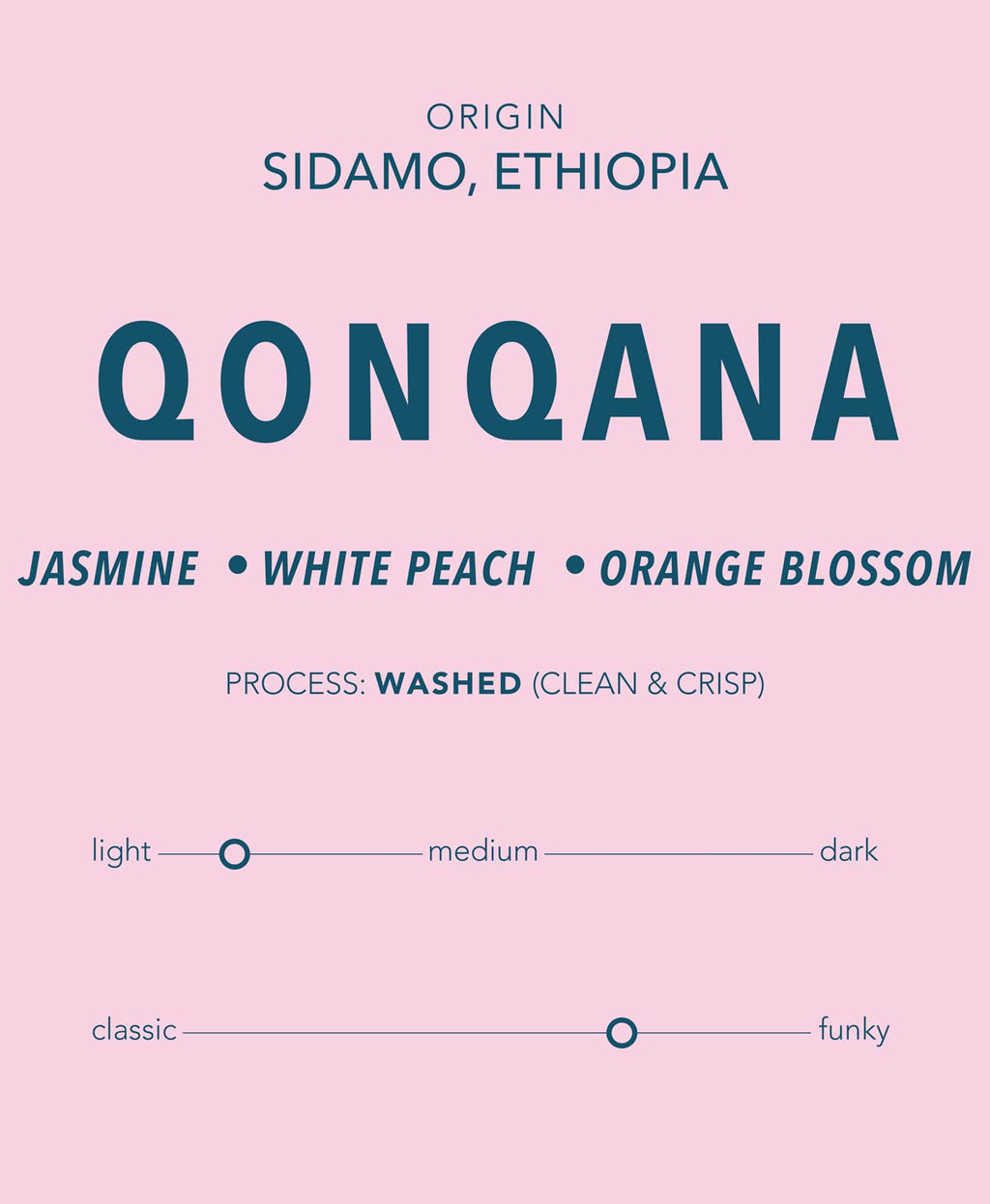 Qonqana - Ethiopia Single Origin