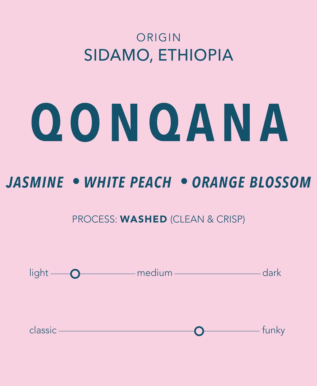Qonqana - Ethiopia Single Origin