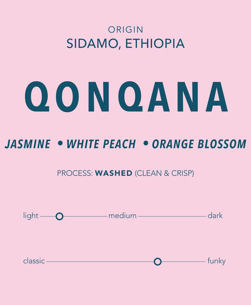 Qonqana - Ethiopia Single Origin