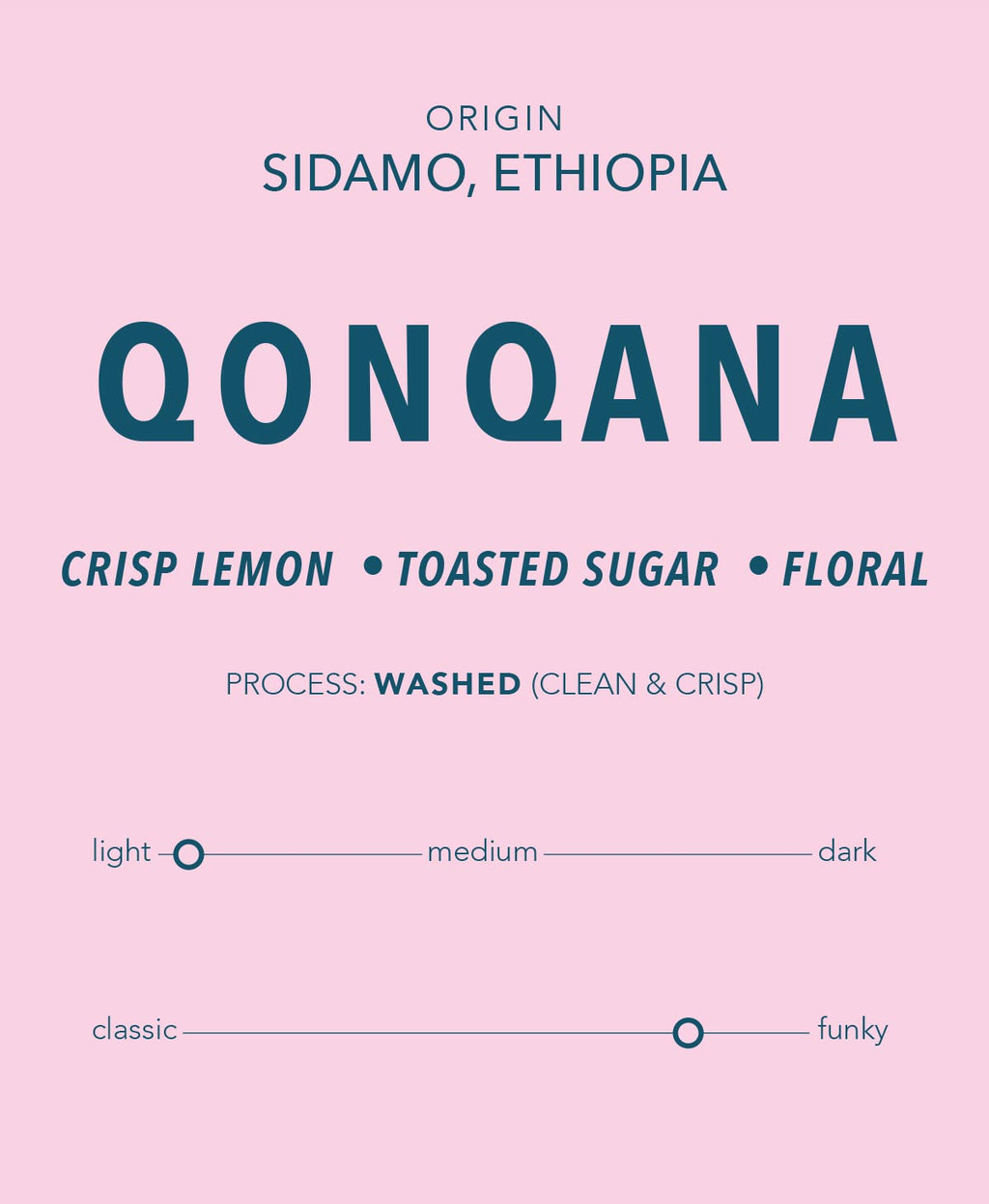 Qonqana - Ethiopia Single Origin