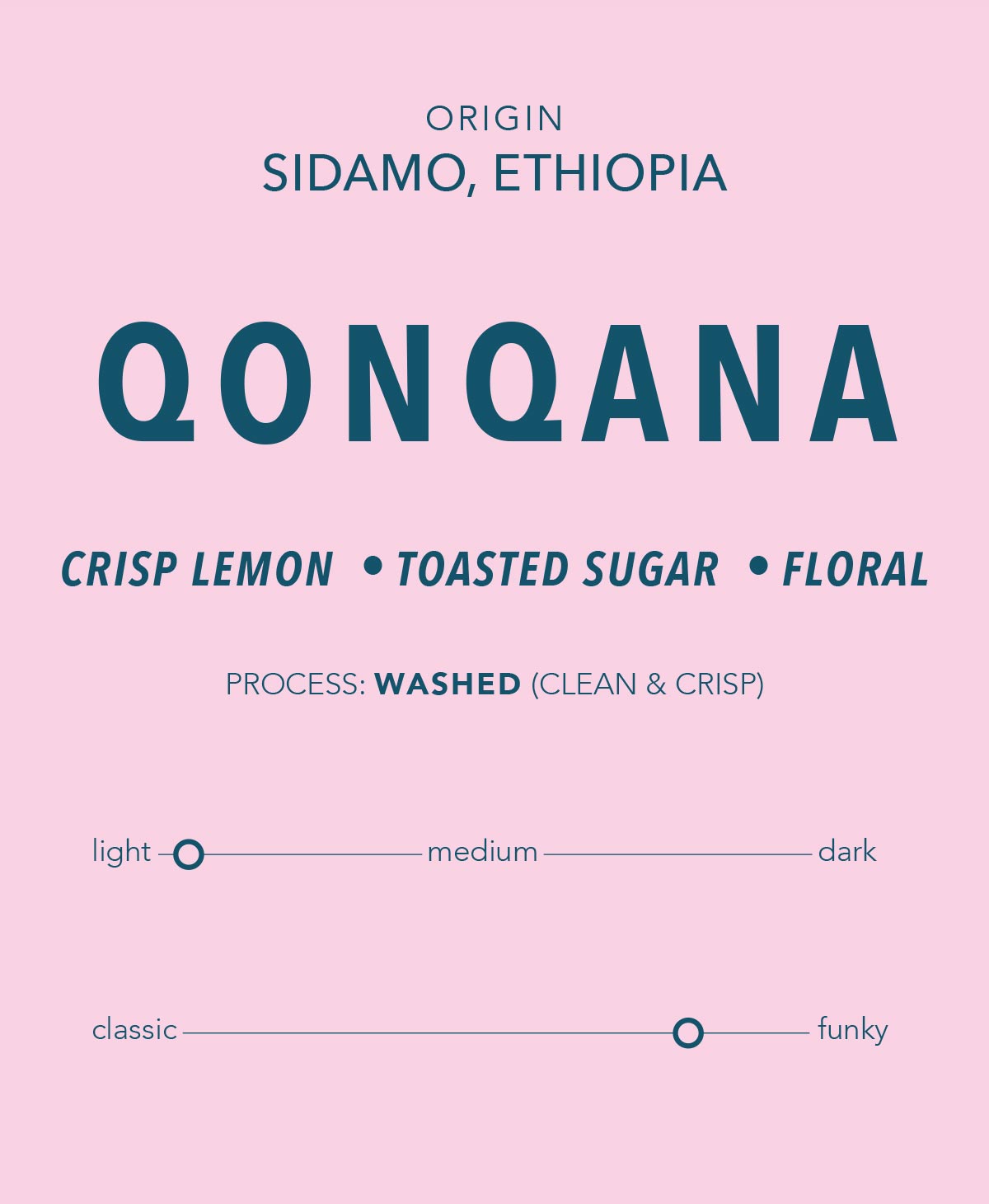 Qonqana - Ethiopia Single Origin