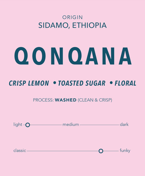 Qonqana - Ethiopia Single Origin